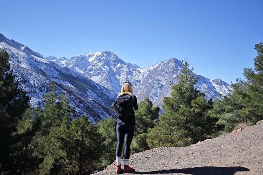 Marrakech: Atlas Mountains Summit Day Trek 2700m - Transport, group size, and the $27 price