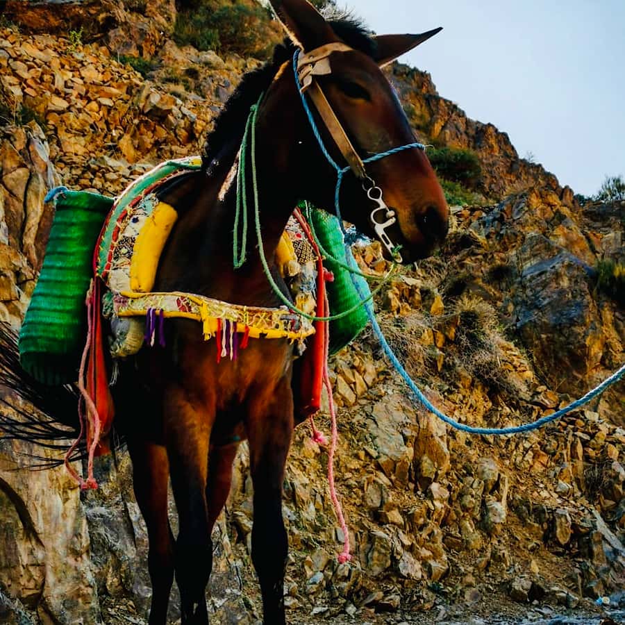 Marrakech: Guided 2-Day Trek to Imlil and Imnan Valleys - How difficult is the trek?