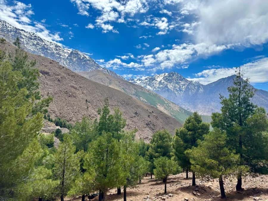 Marrakech: High Atlas Tedali Summit Guided Day Trek - Key points at a glance