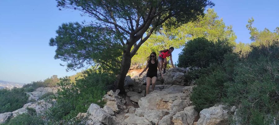 Marseille: Calanques National Park Guided Summit Hike - Climbing through Parc Pastré