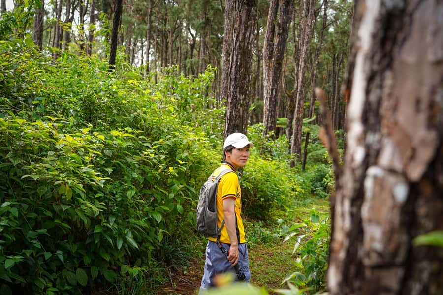 Mauritius: Sunrise Mountain Hike with Southwest Road-trip - Breakfast and a useful change of clothes