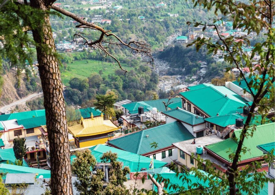 Mcleodganj Nature Trek (3 Hours Guided Walking Tour) - Tushita Meditation Centre and Shanti Stupa