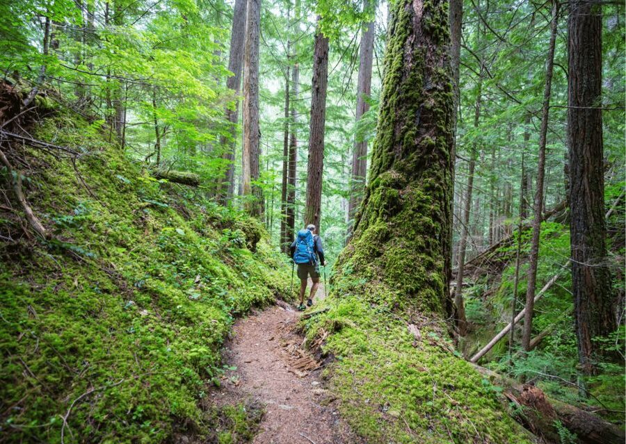 Mcleodganj Nature Trek (3 Hours Guided Walking Tour) - Who will enjoy this walk most?