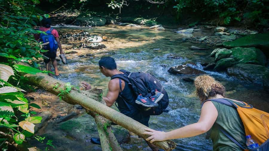Medan: Bukit Lawang Orangutan Tour - Lunch at the Ecolodge Restaurant