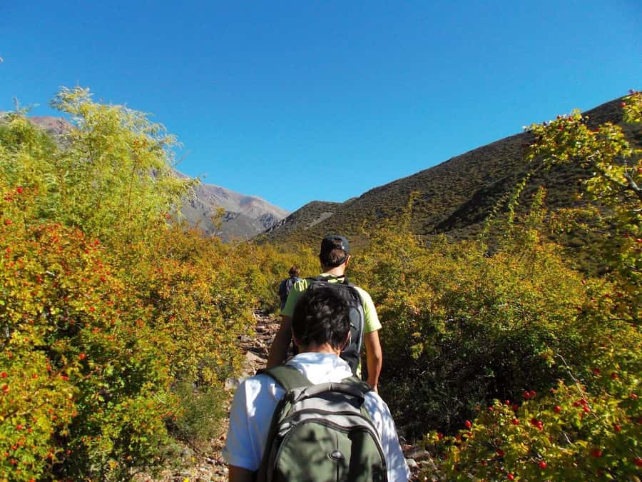 Mendoza: 4-Hour Mountain Trekking With Lunch - Summit views over Lake Calavera and the Cordón del Plata
