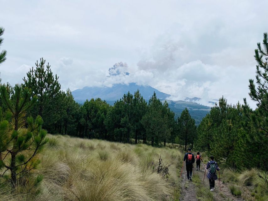 Mexico City: Guided Volcano Trek with Lunch - Is the $105 price good value?
