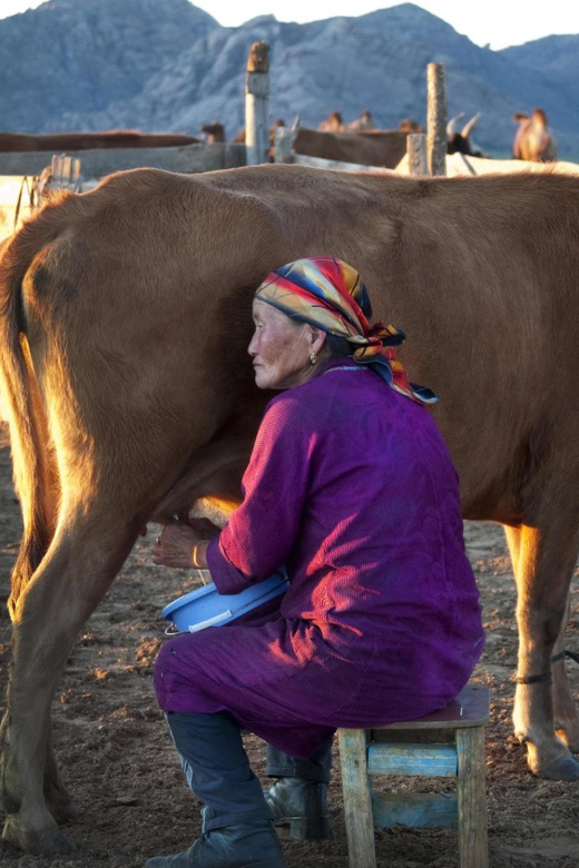 MONGOLIAN NOMADS: 2-Day Horse Trekking & Cow Milking Tour - Sleeping in a Traditional Ger