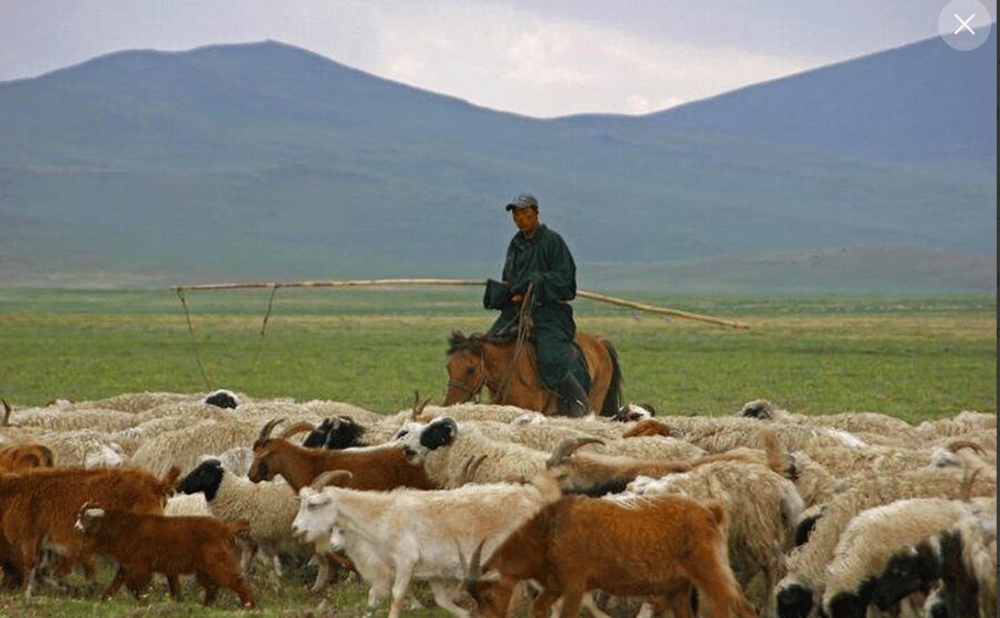 MONGOLIAN NOMADS: 2-Day Horse Trekking & Cow Milking Tour - Who Will Enjoy This Experience Most