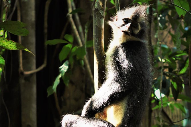 Monkey Business 2 days - 1 night Jungle Trekking (including rafting) - What the $144.97 price includes