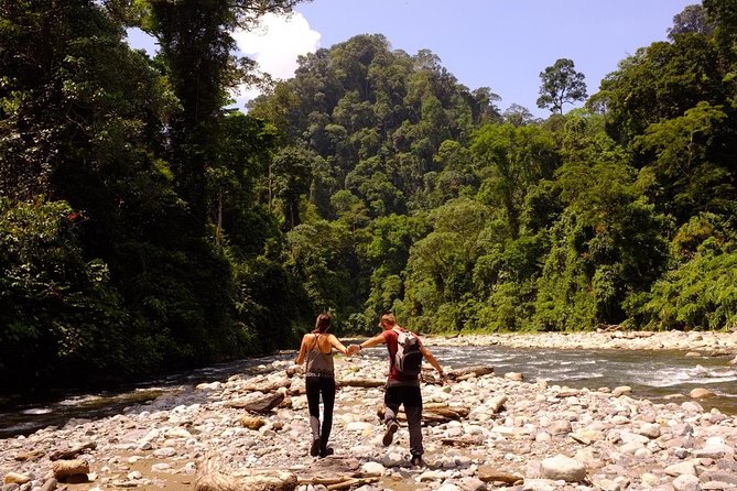 Monkey Business 3 days - 2 nights Jungle trekking (including rafting) - Leeches, rain, and the right packing list
