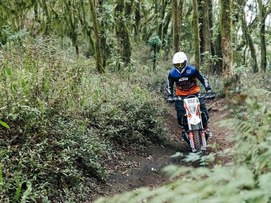 Mount Batur: Sunrise Dirt Bike Trek with Trained Riders - Who should book this Mount Batur experience?