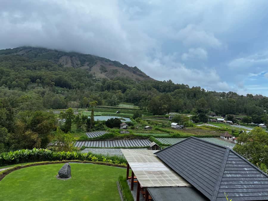 Mount Batur Sunrise Trek & Hot Springs Tour - Who should book this sunrise trek