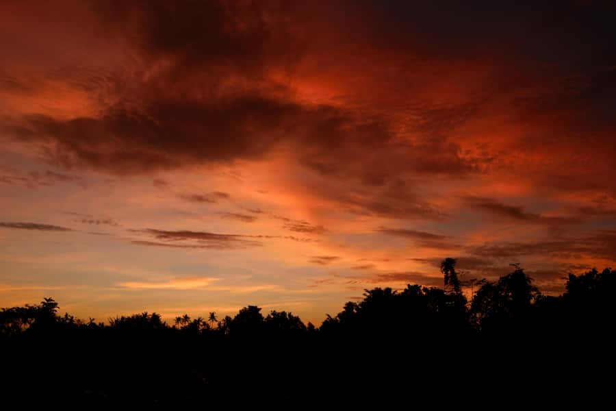 Mount Batur Sunrise Trek & Hot Springs Tour - Why Mount Batur works best before sunrise