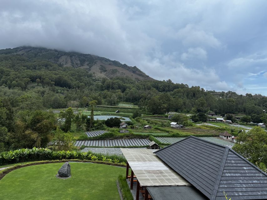 Mount Batur Sunrise Trek & Hot Springs Tour - What the Kintamani coffee stop really is
