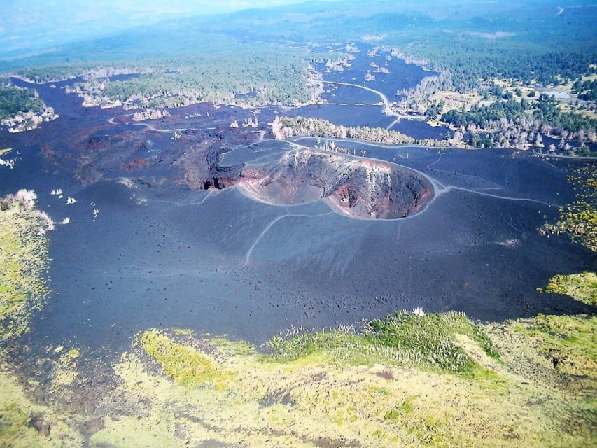 Mount Etna: Private Trek on the North Slope Craters - Beech Forest Offers Shade and a Change of Mood