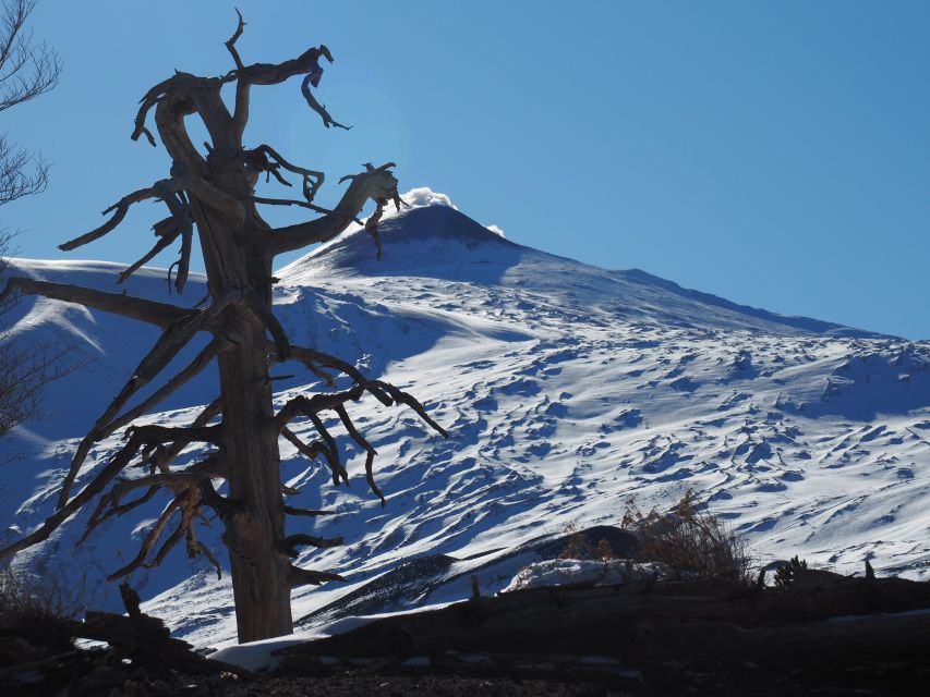Mount Etna: Trek to the Craters of The 2002 Eruption - Key points at a glance