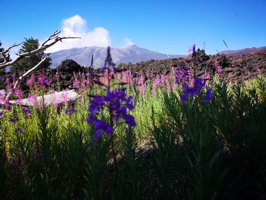 Mount Etna: Trek to the Craters of The 2002 Eruption - Views across the Bay of Naxos