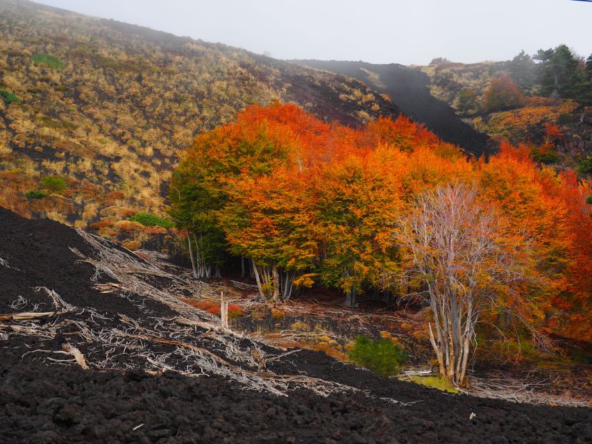 Mount Etna: Trek to the Craters of The 2002 Eruption - Who should book this Etna walk