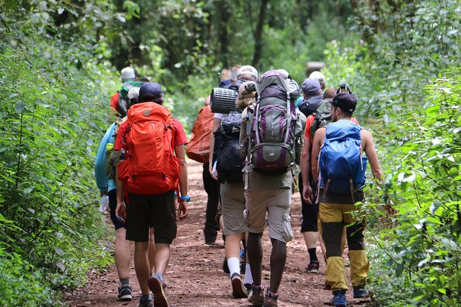 Mount Kilimanjaro Day Hike - Why Mandara Hut is the right one-day target