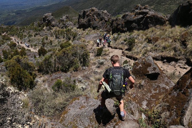 Mount Kilimanjaro Day Hike - What the guide adds to the day