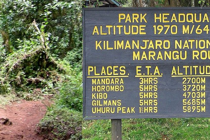 Mount Kilimanjaro Day Hike Through Marangu Route to Mandara Hut - Why this Marangu day hike makes sense