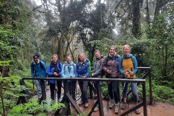 Mount Kilimanjaro Day Hike Through Marangu Route to Mandara Hut - The rainforest trail to Mandara Hut