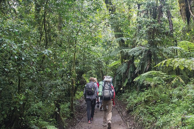 Mount Kilimanjaro Day Hike Through Marangu Route to Mandara Hut - The optional Maundi Crater walk