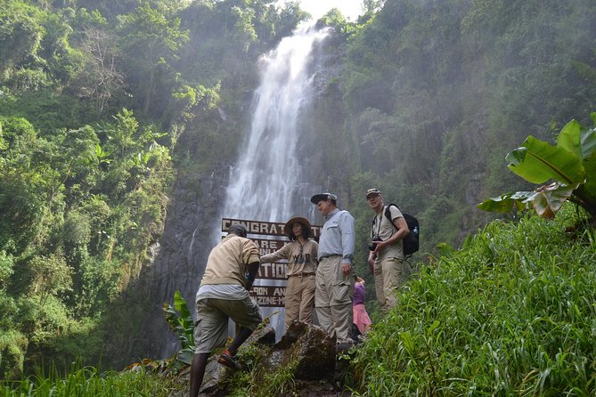 Mount Kilimanjaro day trip trekking - A full day near Kilimanjaro without climbing the summit