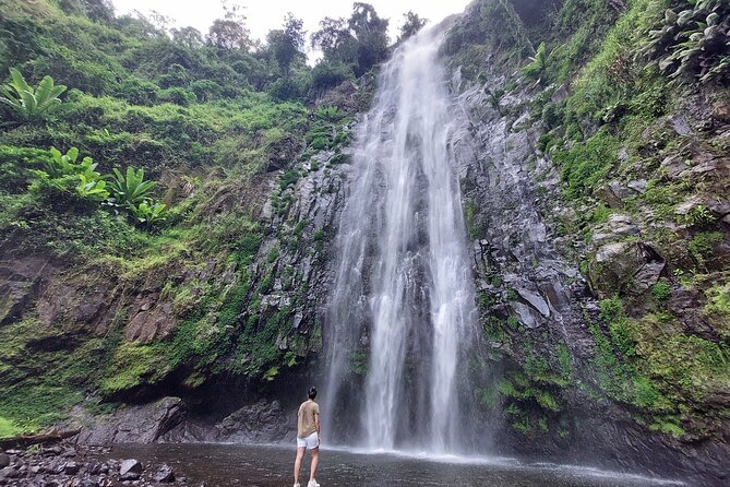 Mount Kilimanjaro day trip trekking - Starting from Arusha with private transport