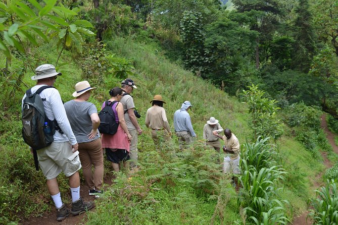 Mount Kilimanjaro day trip trekking - Relaxing at Kikuletwa Hot Springs