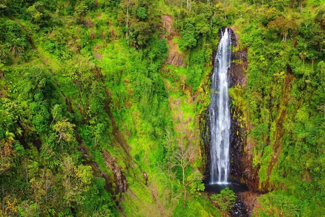 Mount Kilimanjaro day trip trekking - What the guide can add to the experience