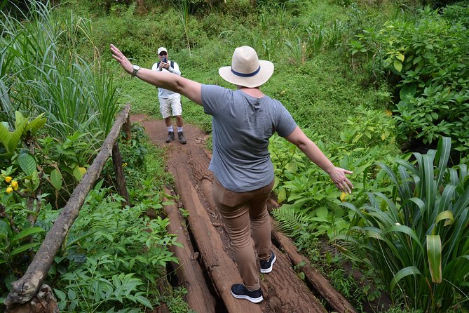 Mount Kilimanjaro day trip trekking - Booking details and cancellation terms