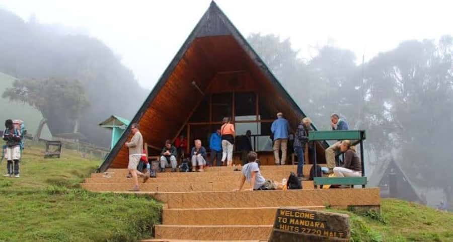 Mount Kilimanjaro National Park Day Trip - Three to four hours through Kilimanjaro’s rainforest