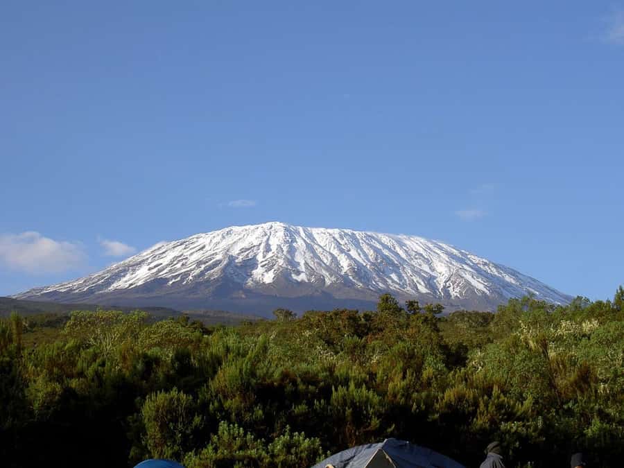 Mount Kilimanjaro National Park Day Trip - Marangu Gate and the start of the trail
