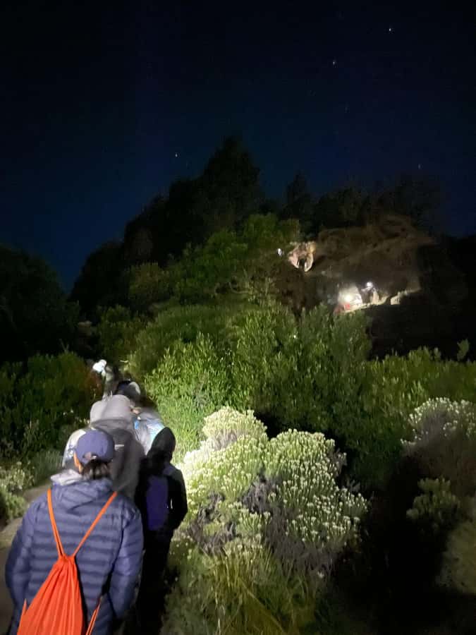 Mount Rinjani: 2D-1N Trekking Summit Sunrise Point Join Tour - Key points to know before you climb