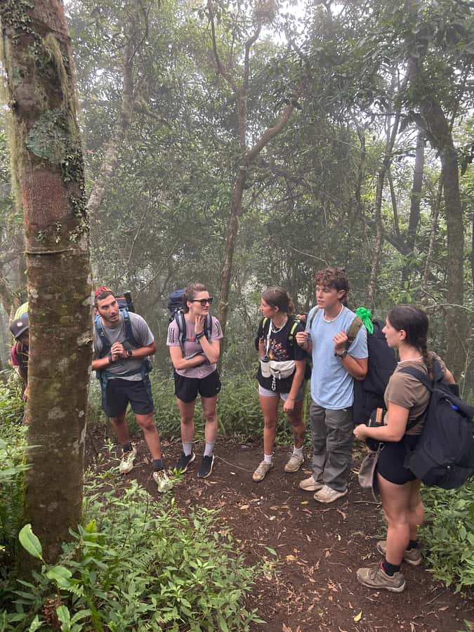 Mount Rinjani: 2D-1N Trekking Summit Sunrise Point Join Tour - What the $133 price covers