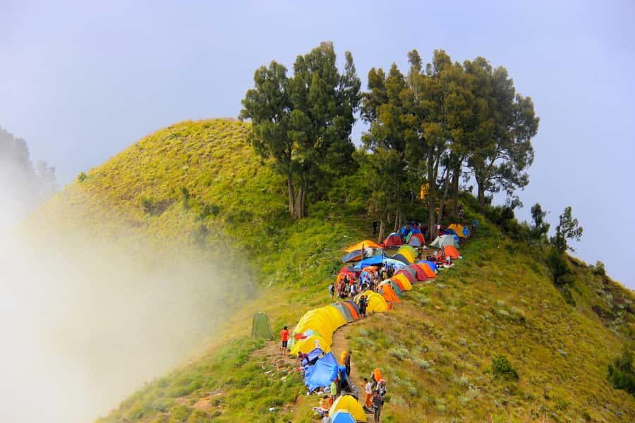 Mount Rinjani: 2D/1N Trekking To Sembalun Or Senaru Views - Starting in Sembalun at 1,156 meters