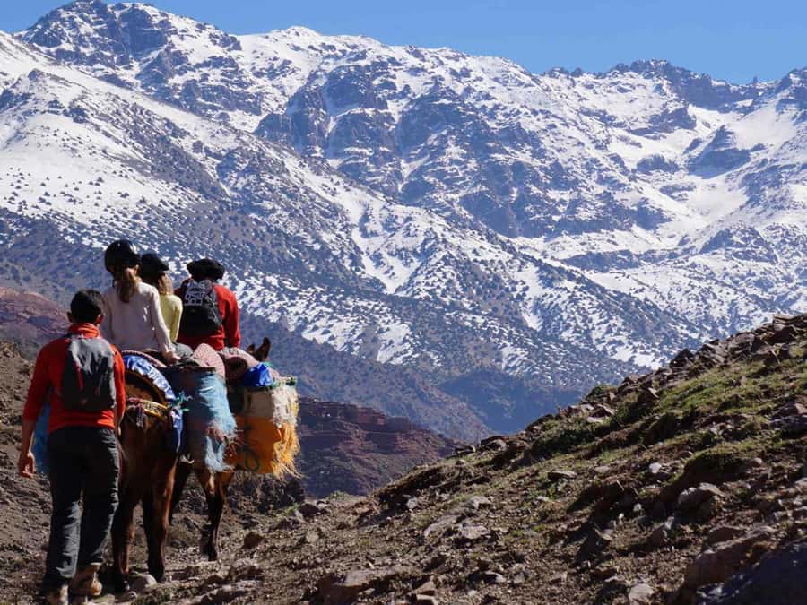 Mount Toubkal Trek 2 Days & 1 Night - Down to Imlil, then back to Marrakech