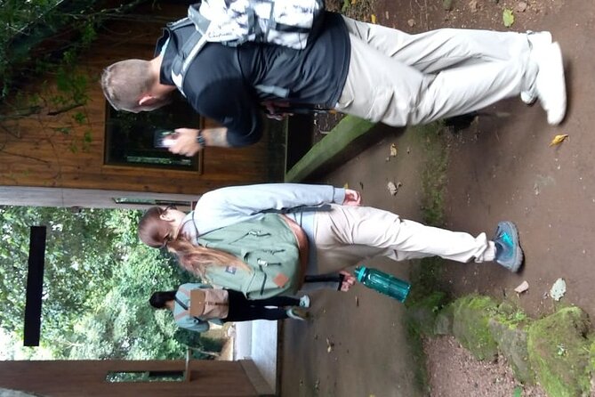 Mountain Kilimanjaro Day Hike - Reaching Mandara Hut