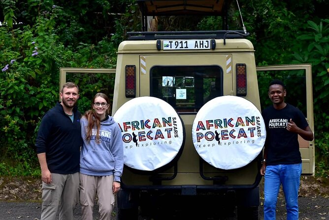 Mountain Kilimanjaro Day Hike - The descent is easier, but not easy