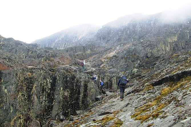 Mountain Rwenzori Trekking Uganda 9 Day Safari - Day 6: Margherita Glacier and the summit attempt