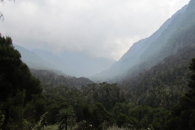 Mountain Rwenzori Trekking Uganda 9 Day Safari - Day 7: Freshfield Pass and Guy Yeoman Hut