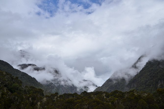 Mountain Rwenzori Trekking Uganda 9 Day Safari - Day 1: Kampala, the equator, and Kasese
