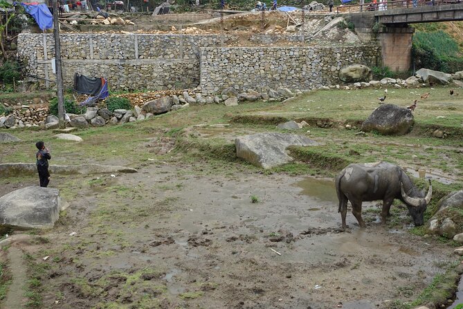 Mountain views and villages trek – 1 Day - Who should book this Sapa trek