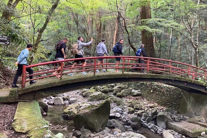 Mt. Inunaki Trekking and Goma Prayer Experience in Osaka - Key points at a glance