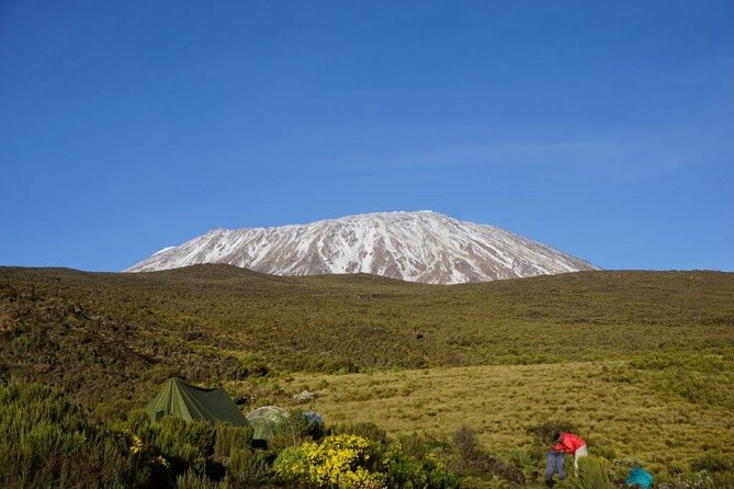 Mt. Kilimanjaro: Shira plateau to Cathedral point 3872m Day hike - The return walk and drive to Arusha