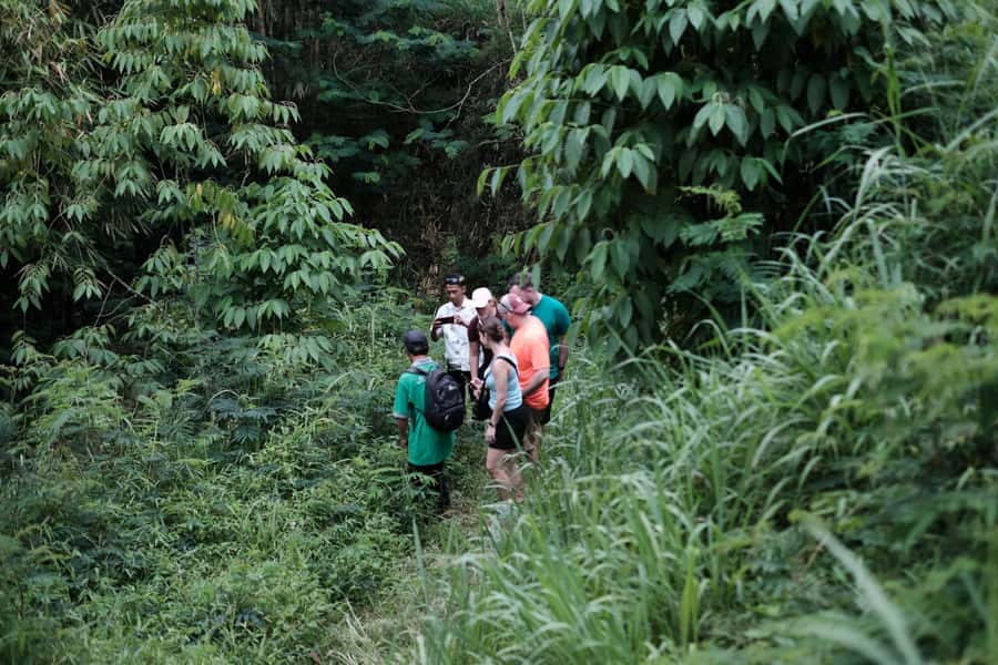 Mt. Merapi Majesty: Soft Trek and Botanic Village Tour - Why this Mount Merapi outing feels different