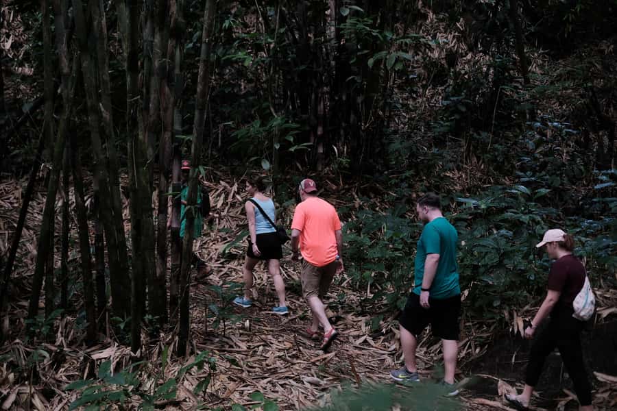 Mt. Merapi Majesty: Soft Trek and Botanic Village Tour - Booking flexibility and practical details