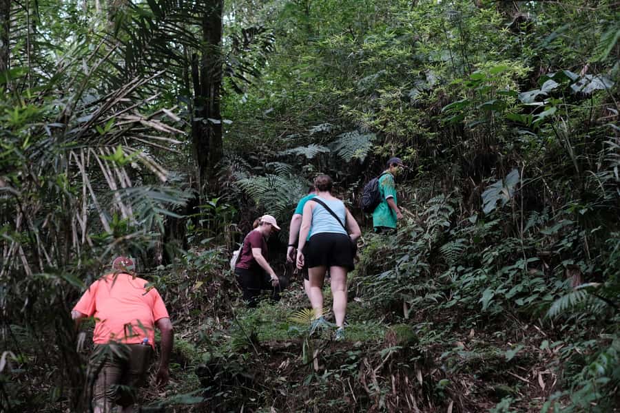 Mt. Merapi Majesty: Soft Trek and Botanic Village Tour - Leaving Yogyakarta for the mountain base