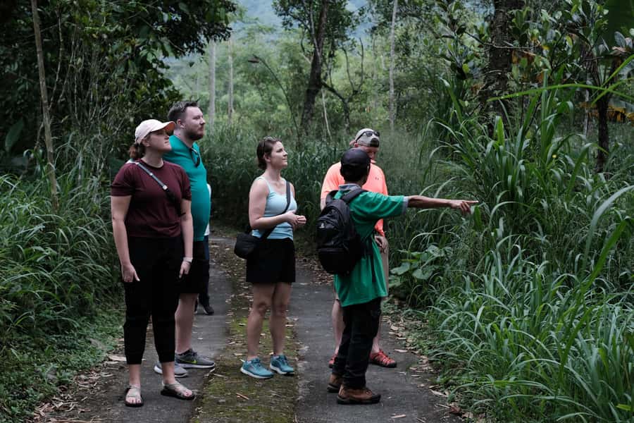 Mt. Merapi Majesty: Soft Trek and Botanic Village Tour - Forest paths, plant life, and an orchid stop